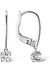 Platonic Radiant Ice Dangles solitaire earring